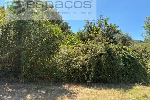 Terra a Fundao, Castelo Branco, Fundao - € 13.000 | Ref: 5841/CP - foto 5