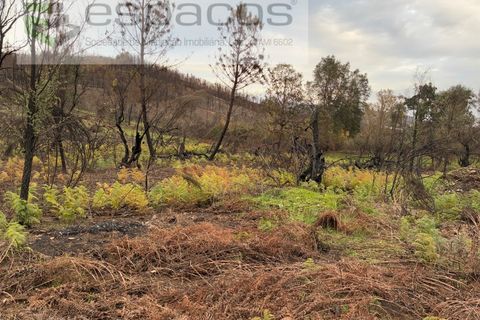 Farm i Fundao, Castelo Branco, Fundao - € 23.000 | Ref: 5896/CP-AG - foto 7