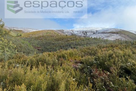 Tomt i Fundao, Castelo Branco, Fundao - € 35 000 | Ref: 5880/CP-AG - foto 2