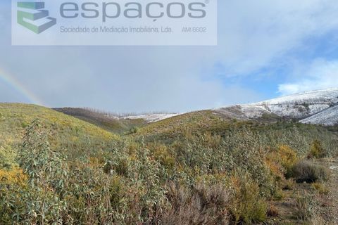 Tomt i Fundao, Castelo Branco, Fundao - € 35 000 | Ref: 5880/CP-AG - foto 3
