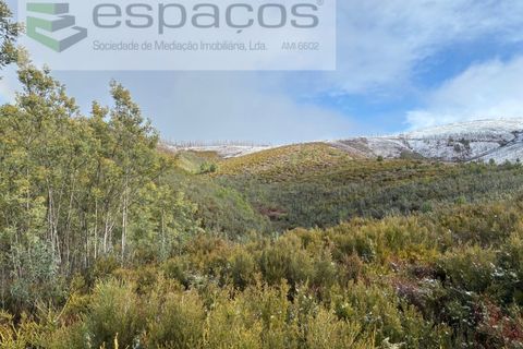 Tomt i Fundao, Castelo Branco, Fundao - € 35 000 | Ref: 5880/CP-AG - foto 4
