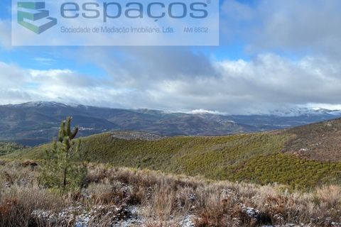 Tomt i Fundao, Castelo Branco, Fundao - € 35 000 | Ref: 5880/CP-AG - foto 5