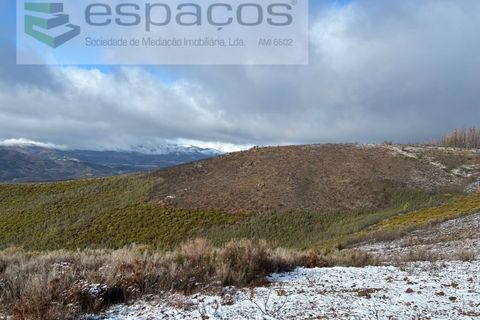 Tomt i Fundao, Castelo Branco, Fundao - € 35 000 | Ref: 5880/CP-AG - foto 6