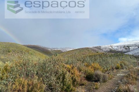 Tomt i Fundao, Castelo Branco, Fundao - € 35 000 | Ref: 5880/CP-AG - foto 7