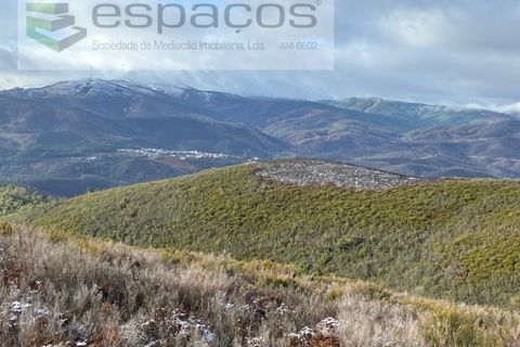Tomt i Fundao, Castelo Branco, Fundao - € 35 000 | Ref: 5880/CP-AG - foto 8