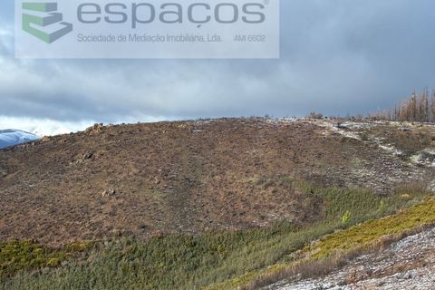 Tomt i Fundao, Castelo Branco, Fundao - € 35 000 | Ref: 5880/CP-AG - foto 9