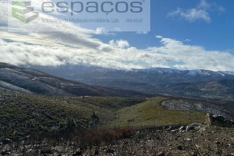 Tomt i Fundao, Castelo Branco, Fundao - € 35 000 | Ref: 5880/CP-AG - foto 12