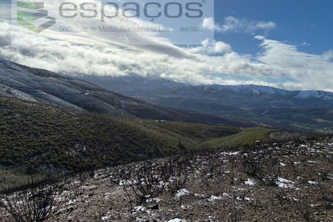 Tomt i Fundao, Castelo Branco, Fundao - € 35 000 | Ref: 5880/CP-AG - foto 13