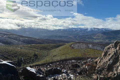 Tomt i Fundao, Castelo Branco, Fundao - € 35 000 | Ref: 5880/CP-AG - foto 14