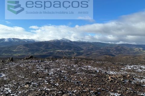 Tomt i Fundao, Castelo Branco, Fundao - € 35 000 | Ref: 5880/CP-AG - foto 19