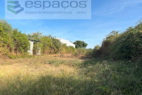 Tomt i Alcains, Castelo Branco, Alcains - € 25 000 | Ref: 5853/FA - foto 3