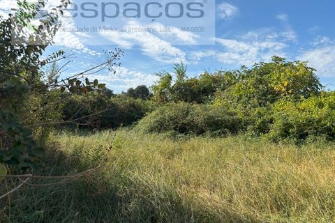 Tomt i Alcains, Castelo Branco, Alcains - € 25 000 | Ref: 5853/FA - foto 4