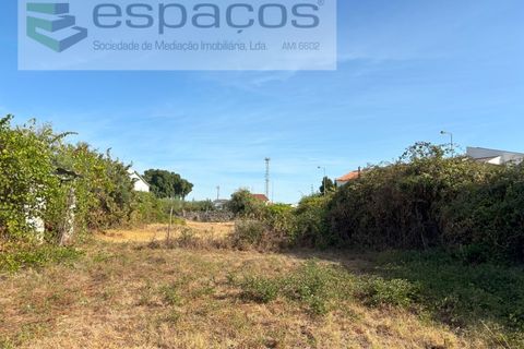 Tomt i Alcains, Castelo Branco, Alcains - € 25 000 | Ref: 5853/FA - foto 5