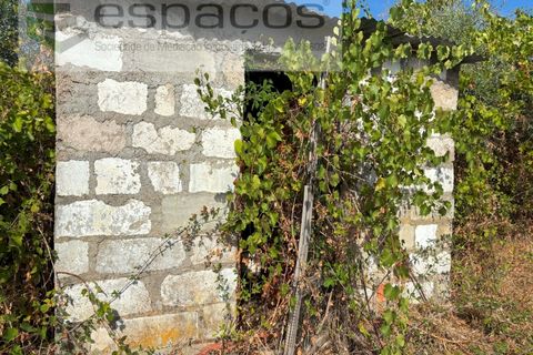 Tomt i Alcains, Castelo Branco, Alcains - € 25 000 | Ref: 5853/FA - foto 6