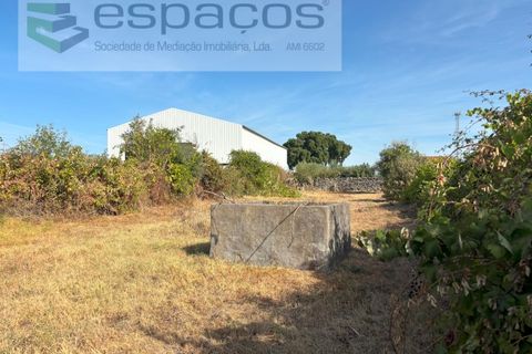 Tomt i Alcains, Castelo Branco, Alcains - € 25 000 | Ref: 5853/FA - foto 7
