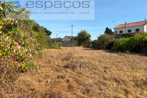 Tomt i Alcains, Castelo Branco, Alcains - € 25 000 | Ref: 5853/FA - foto 9