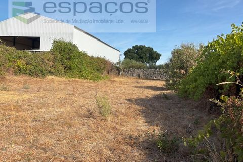 Tomt i Alcains, Castelo Branco, Alcains - € 25 000 | Ref: 5853/FA - foto 10