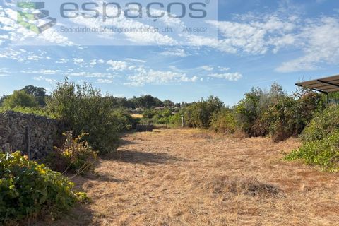 Tomt i Alcains, Castelo Branco, Alcains - € 25 000 | Ref: 5853/FA - foto 11