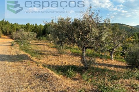 Tomt i Fundao, Castelo Branco, Fundao - € 40 000 | Ref: 5811/CP-AG - foto 2