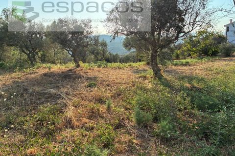 Tomt i Fundao, Castelo Branco, Fundao - € 40 000 | Ref: 5811/CP-AG - foto 3