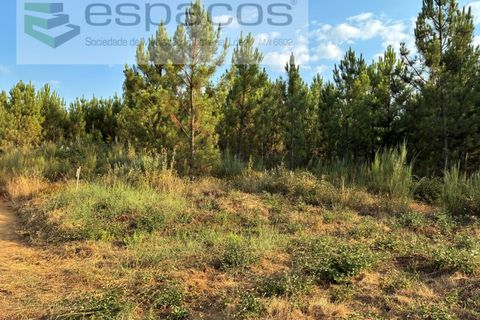 Tomt i Fundao, Castelo Branco, Fundao - € 40 000 | Ref: 5811/CP-AG - foto 4