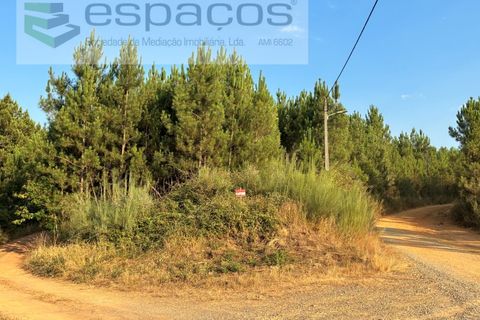 Tomt i Fundao, Castelo Branco, Fundao - € 40 000 | Ref: 5811/CP-AG - foto 5