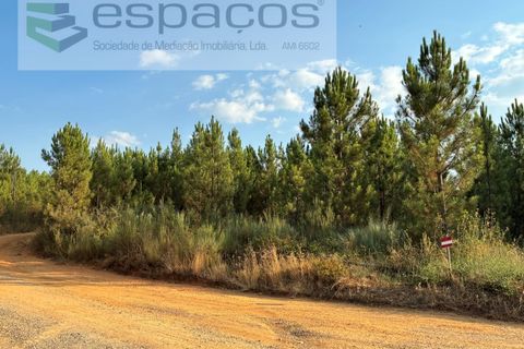 Tomt i Fundao, Castelo Branco, Fundao - € 40 000 | Ref: 5811/CP-AG - foto 6