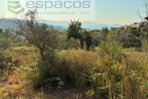 Tomt i Fundao, Castelo Branco, Fundao - € 40 000 | Ref: 5811/CP-AG - foto 7