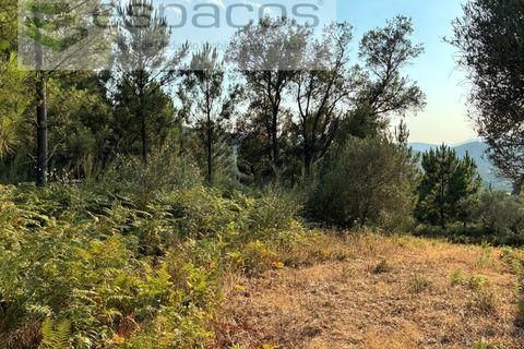 Tomt i Fundao, Castelo Branco, Fundao - € 40 000 | Ref: 5811/CP-AG - foto 8