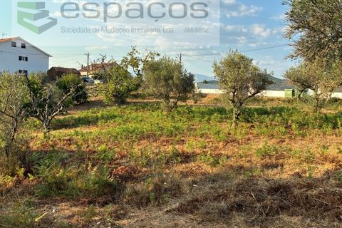 Tomt i Fundao, Castelo Branco, Fundao - € 40 000 | Ref: 5811/CP-AG - foto 9