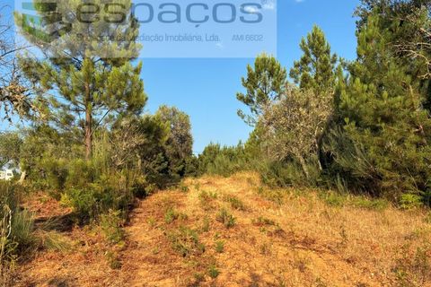 Tomt i Fundao, Castelo Branco, Fundao - € 40 000 | Ref: 5811/CP-AG - foto 11