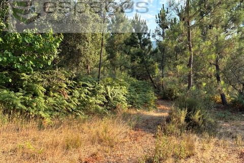 Tomt i Fundao, Castelo Branco, Fundao - € 40 000 | Ref: 5811/CP-AG - foto 12