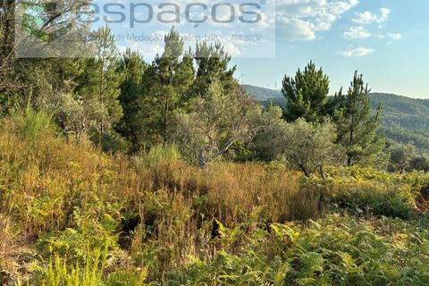 Tomt i Fundao, Castelo Branco, Fundao - € 40 000 | Ref: 5811/CP-AG - foto 14