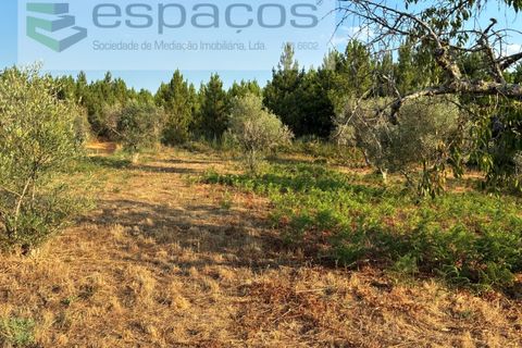 Tomt i Fundao, Castelo Branco, Fundao - € 40 000 | Ref: 5811/CP-AG - foto 17