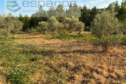 Tomt i Fundao, Castelo Branco, Fundao - € 40 000 | Ref: 5811/CP-AG - foto 18