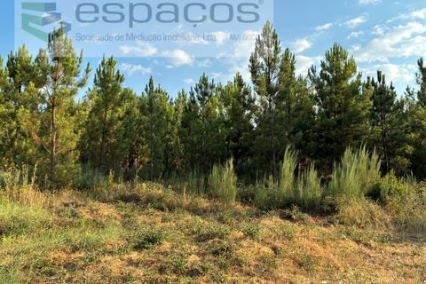 Tomt i Fundao, Castelo Branco, Fundao - € 40 000 | Ref: 5811/CP-AG - foto 19
