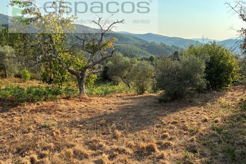 Tomt i Fundao, Castelo Branco, Fundao - € 40 000 | Ref: 5811/CP-AG - foto 20