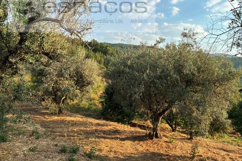 Tomt i Fundao, Castelo Branco, Fundao - € 40 000 | Ref: 5811/CP-AG - foto 21