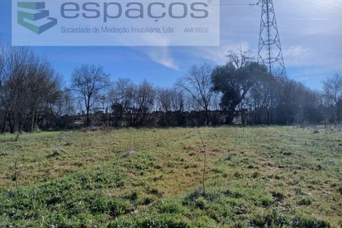 Terra a Fundao, Castelo Branco, Fundao - € 7.500 | Ref: 4053 RR-EM - foto 4