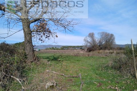 Terra a Fundao, Castelo Branco, Fundao - € 7.500 | Ref: 4053 RR-EM - foto 5