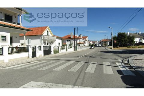 Tomt i Alcains, Castelo Branco, Alcains - € 30 000 | Ref: 4777/RR - foto 3