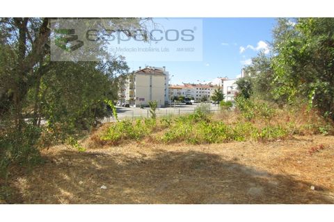 Tomt i Alcains, Castelo Branco, Alcains - € 30 000 | Ref: 4777/RR - foto 4