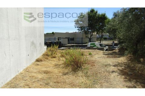 Tomt i Alcains, Castelo Branco, Alcains - € 30 000 | Ref: 4777/RR - foto 5