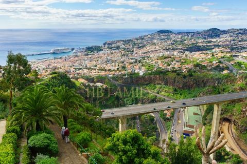 Lejlighed i Funchal, Madeira, Funchal - € 455.000 | Ref: 1015_D - foto 18