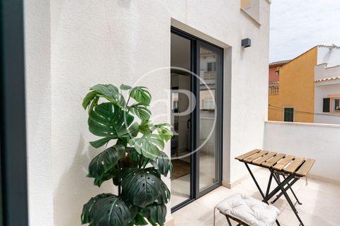 Villa a Andratx, Mallorca, Andratx - € 2.800/mes | Ref: APMS2607014 - foto 28