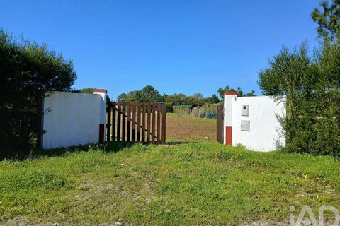 Terra a Odemira, Beja, Odemira - € 60.000 | Ref: 843462 - foto 2