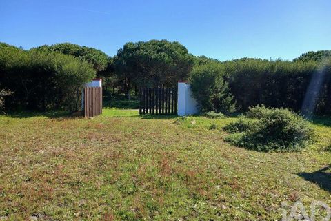 Terra a Odemira, Beja, Odemira - € 60.000 | Ref: 843462 - foto 3