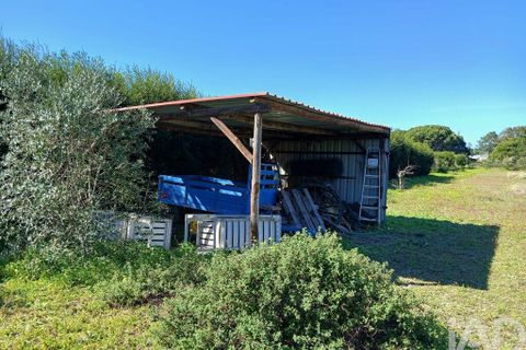 Terra a Odemira, Beja, Odemira - € 60.000 | Ref: 843462 - foto 4