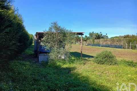 Terra a Odemira, Beja, Odemira - € 60.000 | Ref: 843462 - foto 5