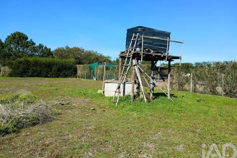 Terra a Odemira, Beja, Odemira - € 60.000 | Ref: 843462 - foto 6